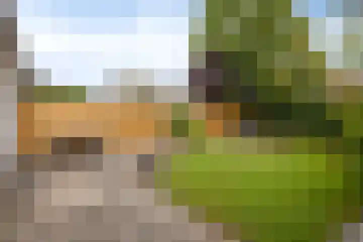van Hoornlaan 25 Zutphen thumbnail 30
