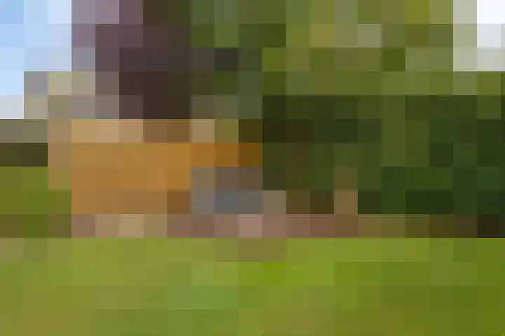 van Hoornlaan 25 Zutphen thumbnail 31