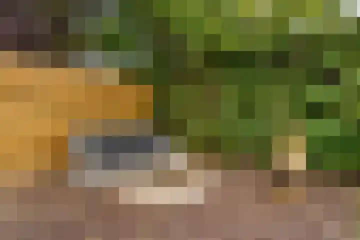 van Hoornlaan 25 Zutphen thumbnail 32
