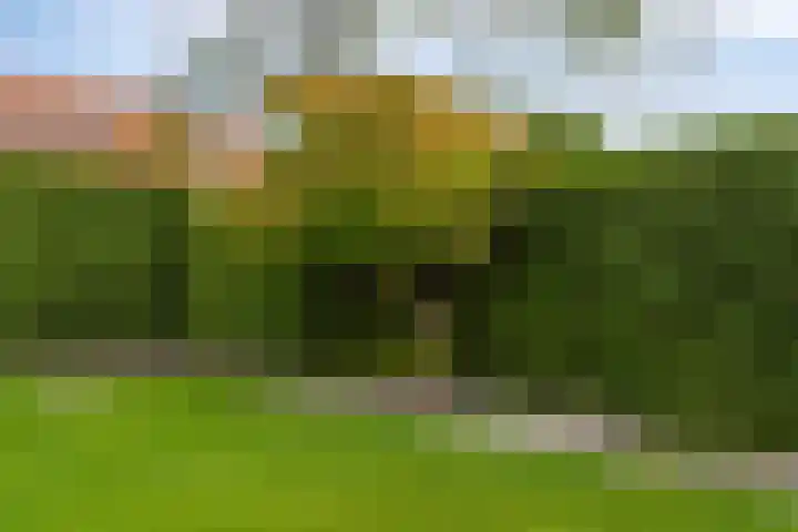 van Hoornlaan 25 Zutphen thumbnail 33