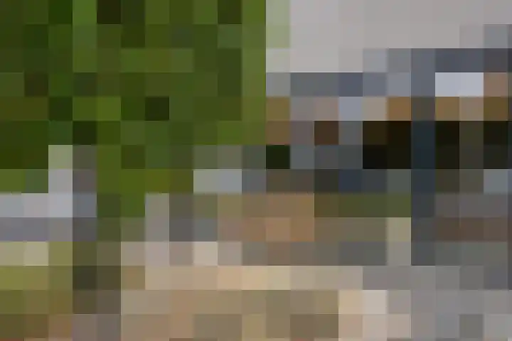 van Hoornlaan 25 Zutphen thumbnail 37