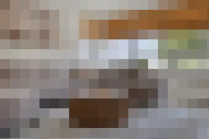 van Hoornlaan 25 Zutphen thumbnail 4