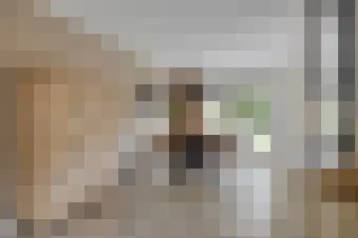 van Hoornlaan 25 Zutphen thumbnail 8