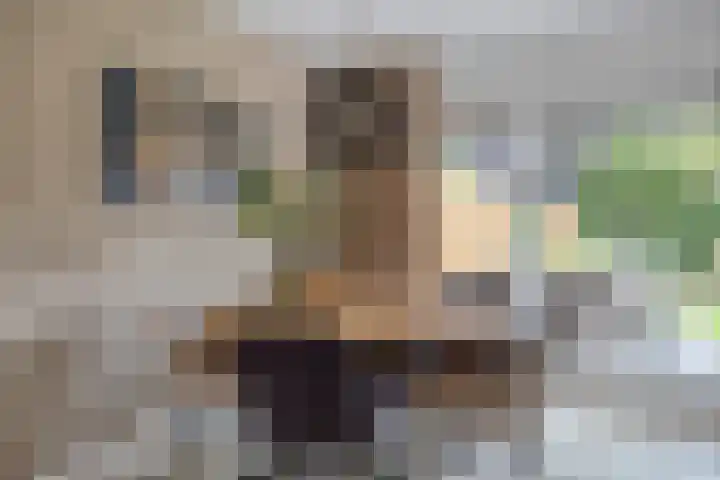 van Hoornlaan 25 Zutphen thumbnail 9