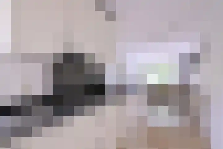 van Hoornlaan 44 Zutphen thumbnail 10