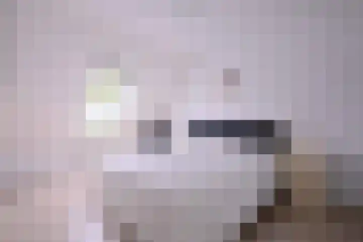 van Hoornlaan 44 Zutphen thumbnail 15