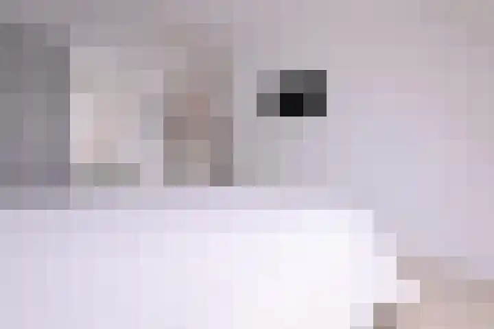 van Hoornlaan 44 Zutphen thumbnail 18
