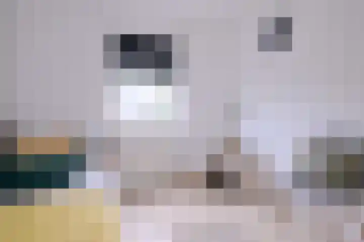 van Hoornlaan 44 Zutphen thumbnail 25