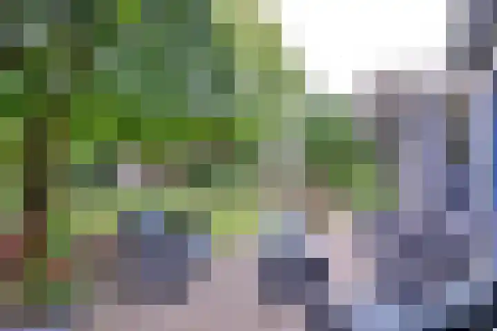 van Hoornlaan 44 Zutphen thumbnail 35