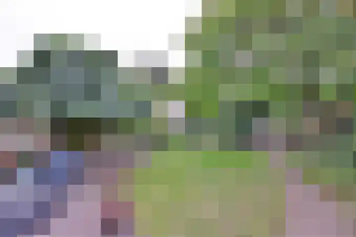 van Hoornlaan 44 Zutphen thumbnail 37