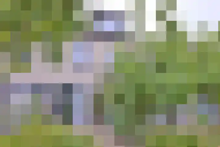van Hoornlaan 44 Zutphen thumbnail 38