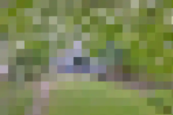 van Hoornlaan 44 Zutphen thumbnail 39