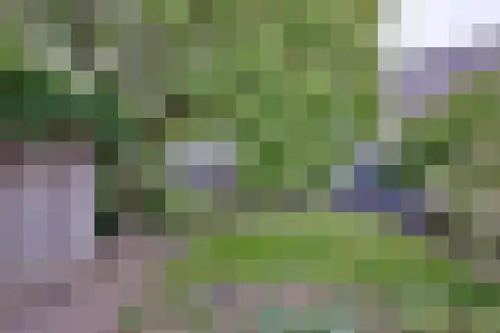 van Hoornlaan 44 Zutphen thumbnail 40