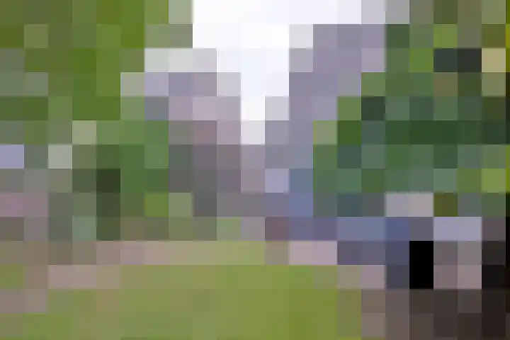 van Hoornlaan 44 Zutphen thumbnail 41