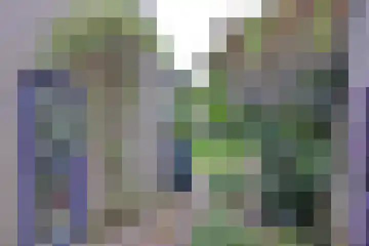 van Hoornlaan 44 Zutphen thumbnail 43