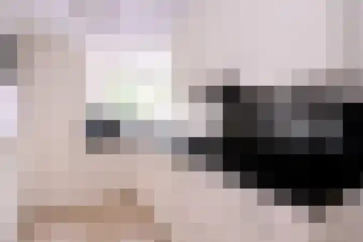 van Hoornlaan 44 Zutphen thumbnail 9