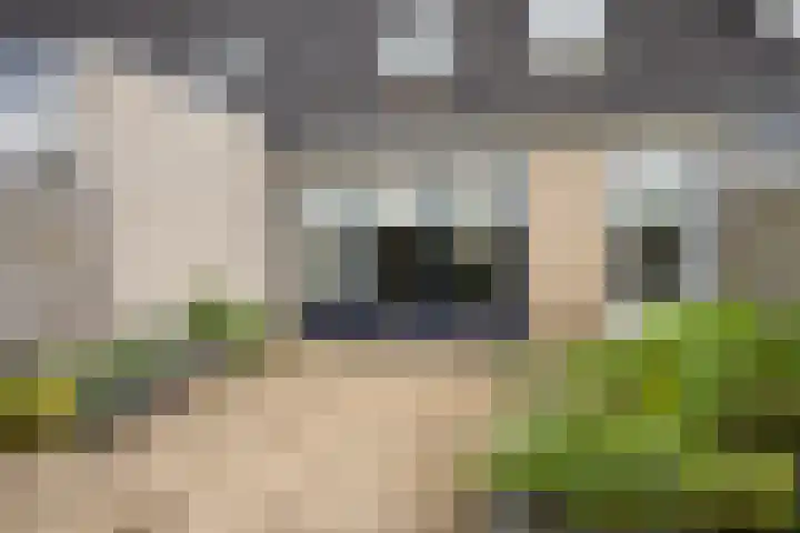 van Hoornlaan 52 Zutphen thumbnail 22