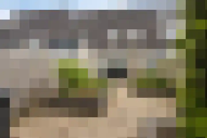 van Hoornlaan 52 Zutphen thumbnail 23
