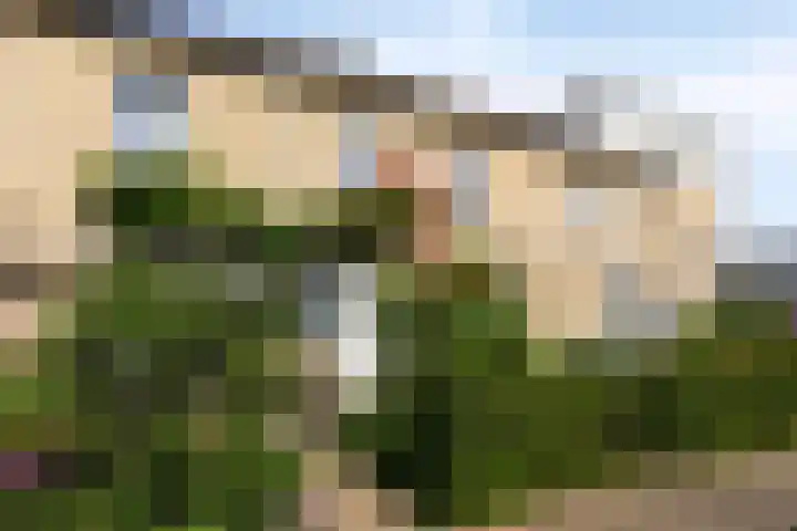 van Hoornlaan 52 Zutphen thumbnail 31