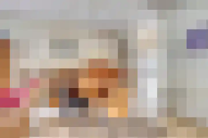 van Hoornlaan 52 Zutphen thumbnail 7