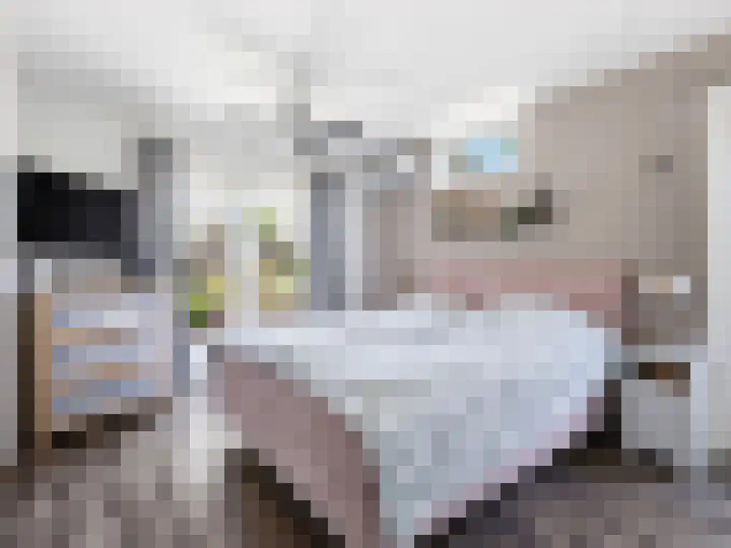 van Hoornlaan 9 Zutphen thumbnail 11