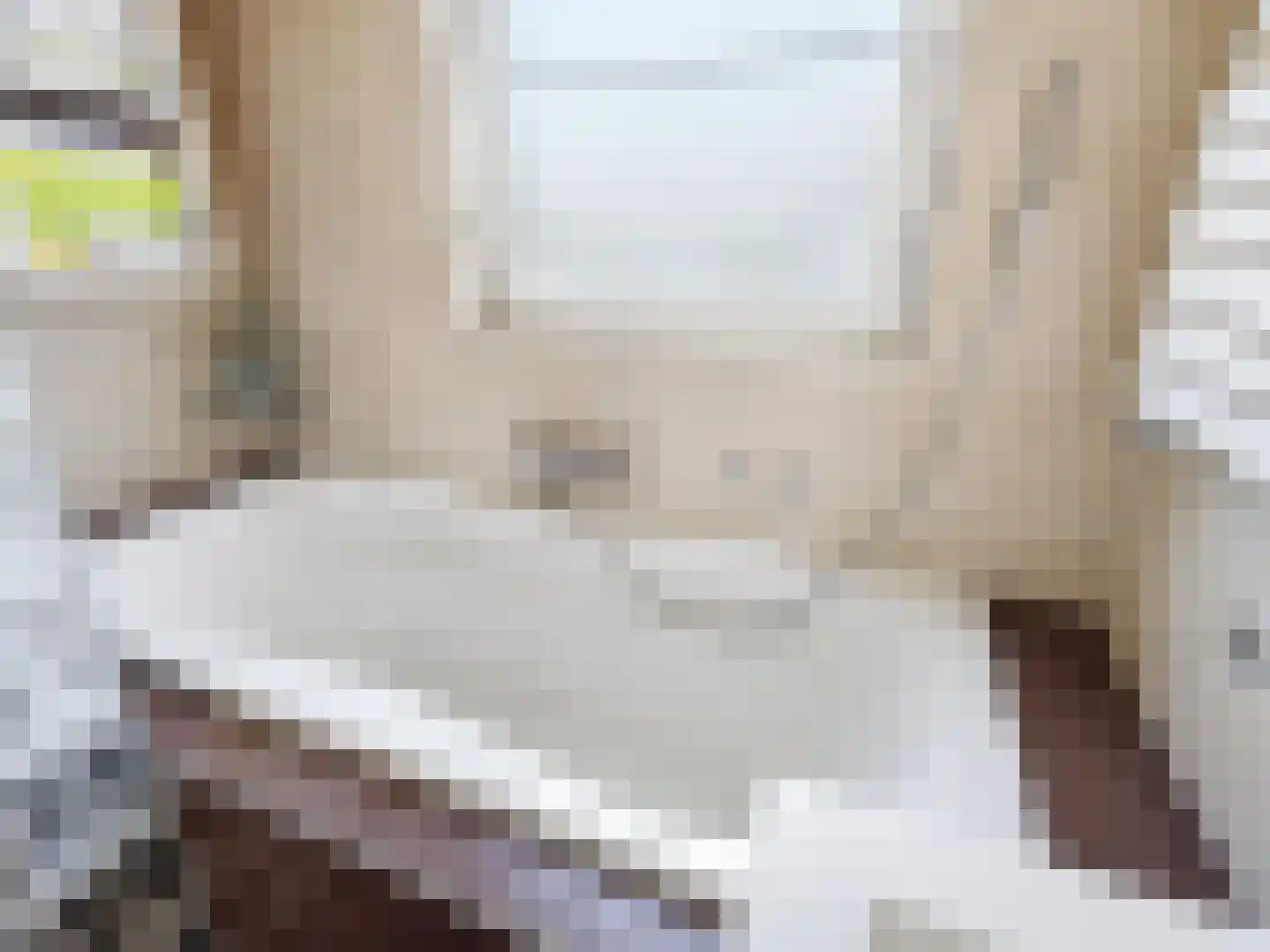 van Hoornlaan 9 Zutphen thumbnail 22