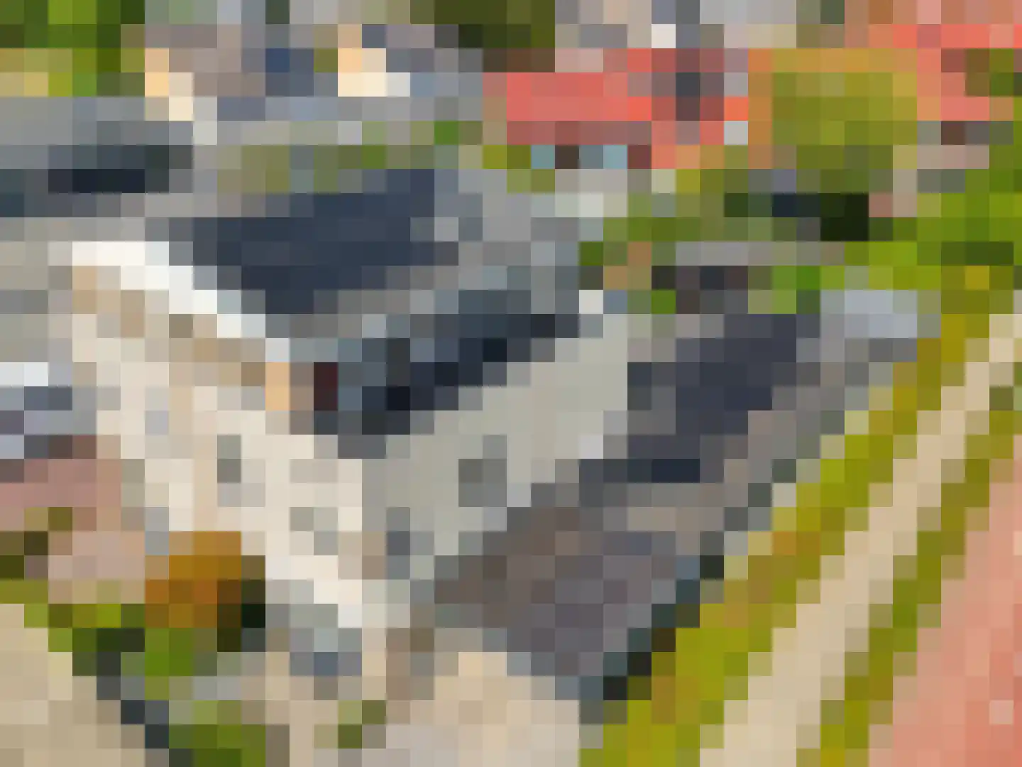van Hoornlaan 9 Zutphen thumbnail 40