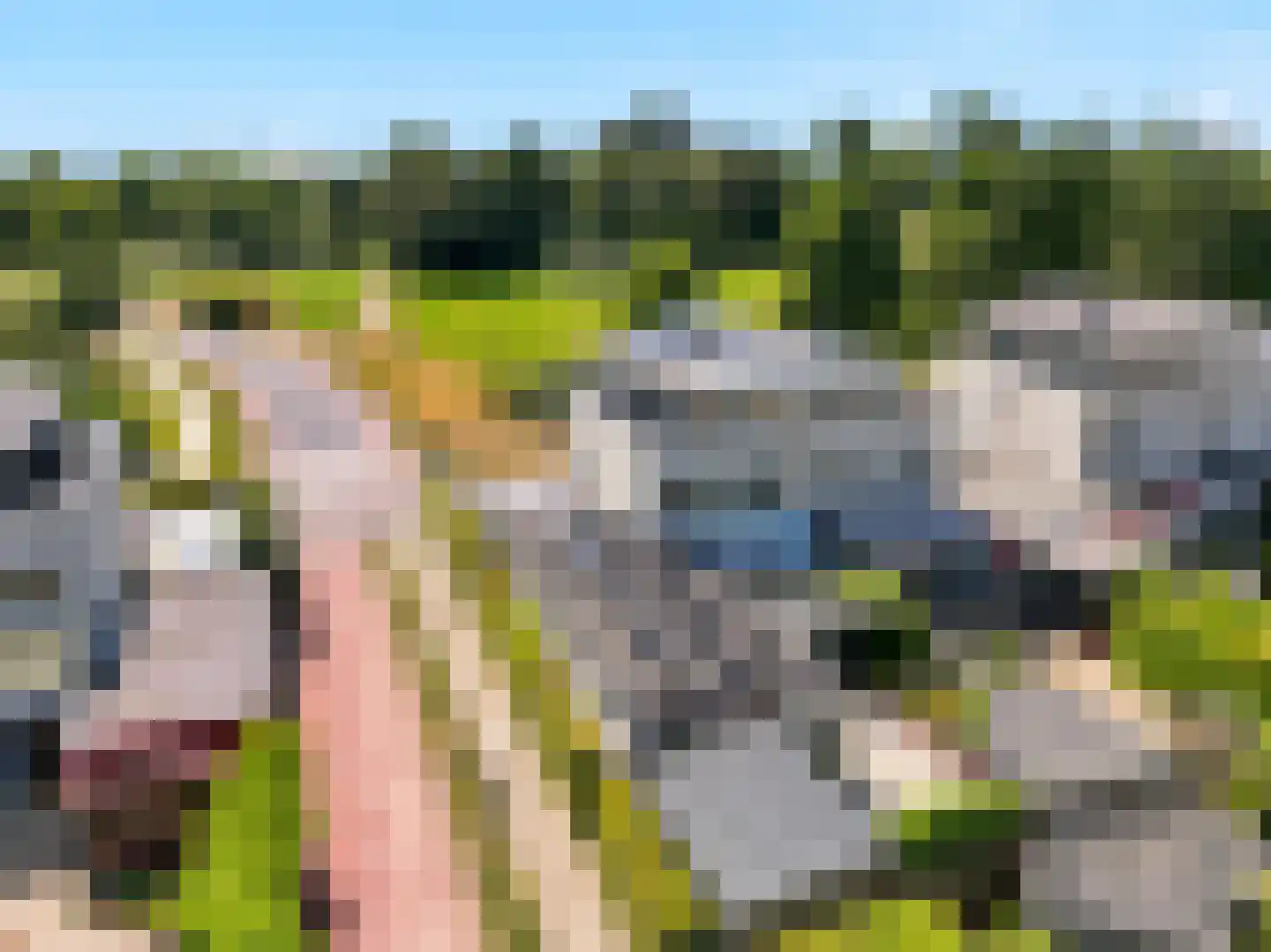van Hoornlaan 9 Zutphen thumbnail 45