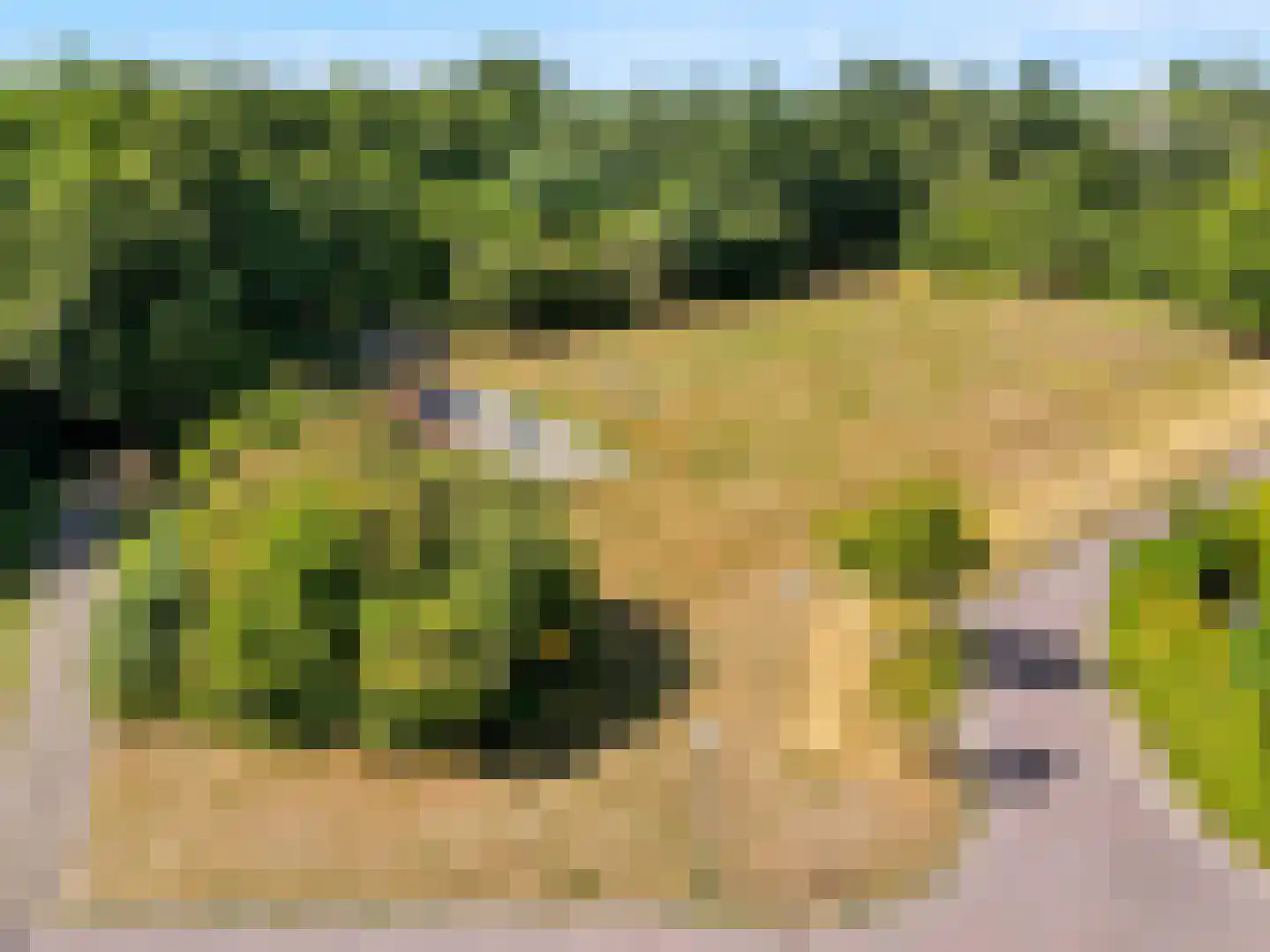 van Hoornlaan 9 Zutphen thumbnail 46