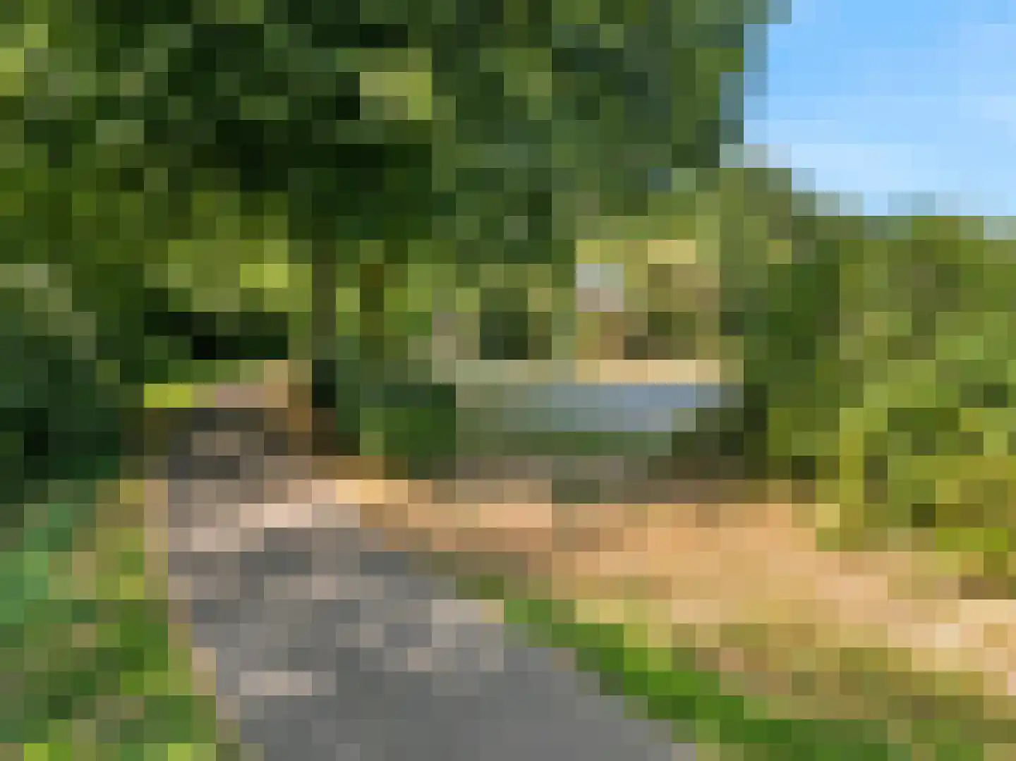 van Hoornlaan 9 Zutphen thumbnail 47