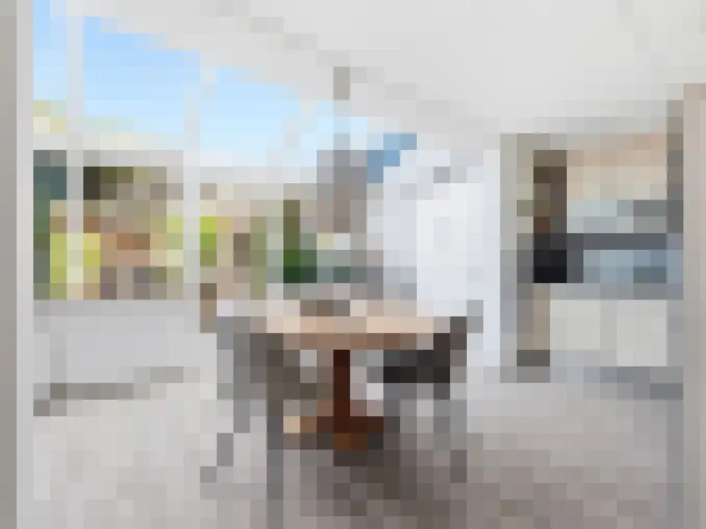 van Hoornlaan 9 Zutphen thumbnail 7