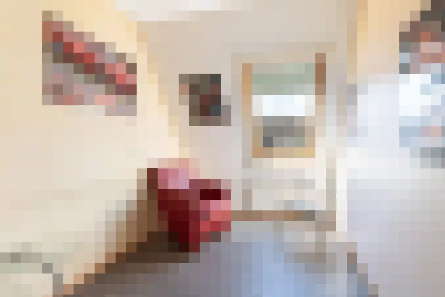 van Hoornlaan 94 Zutphen thumbnail 15