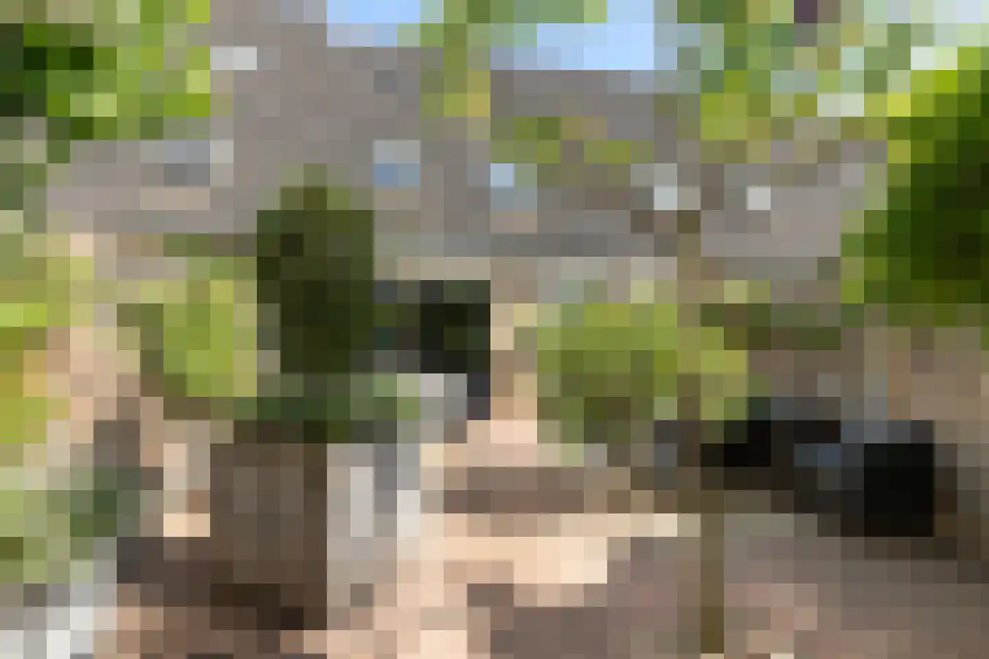 van Hoornlaan 94 Zutphen thumbnail 17