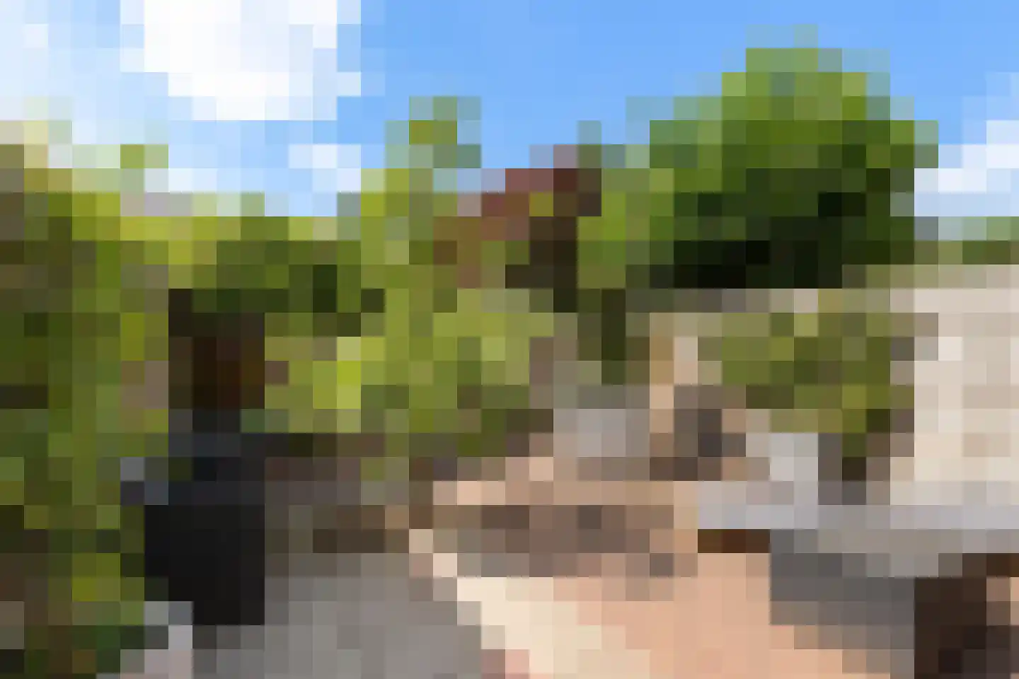 van Hoornlaan 94 Zutphen thumbnail 22