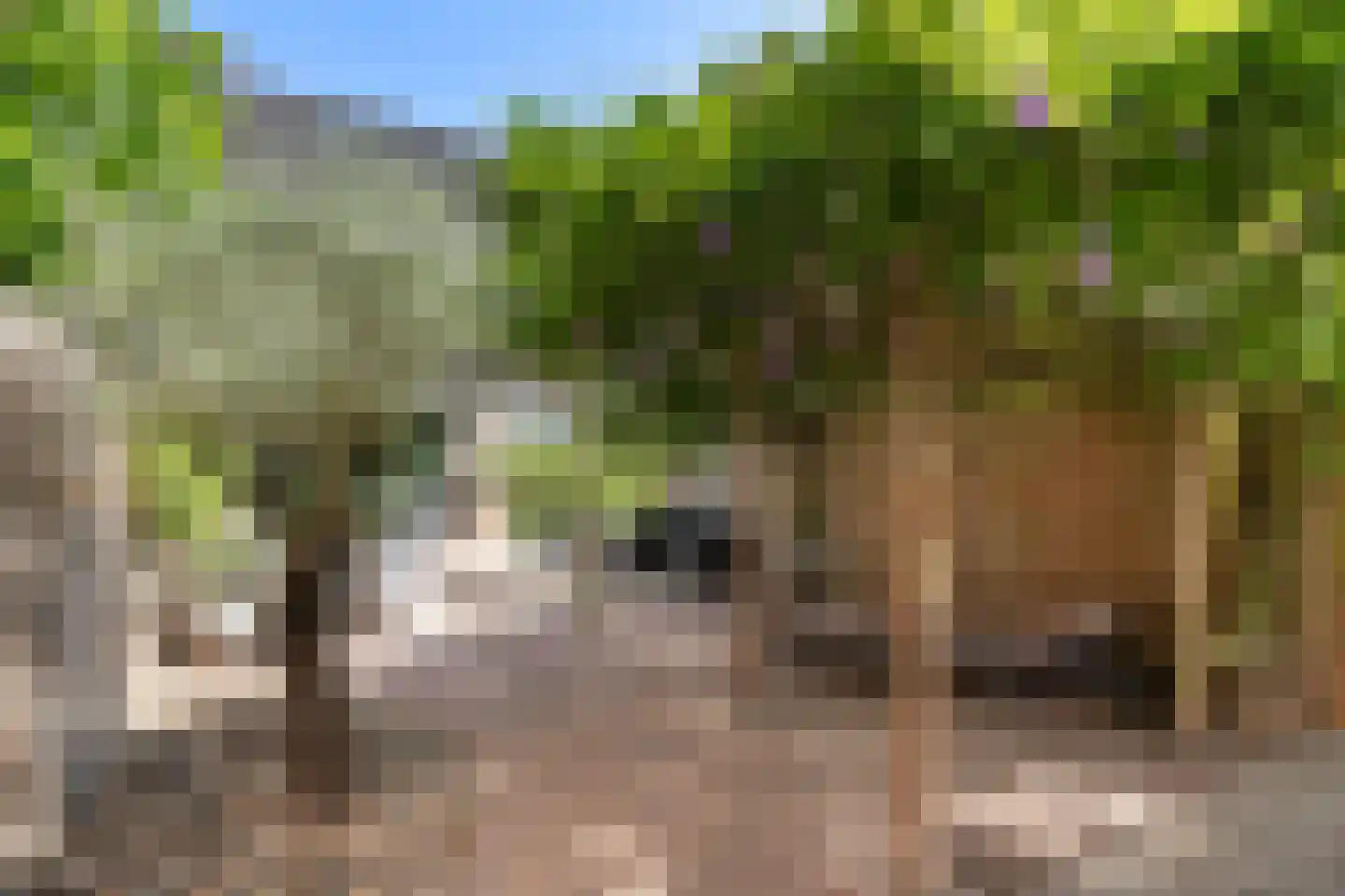 van Hoornlaan 94 Zutphen thumbnail 5