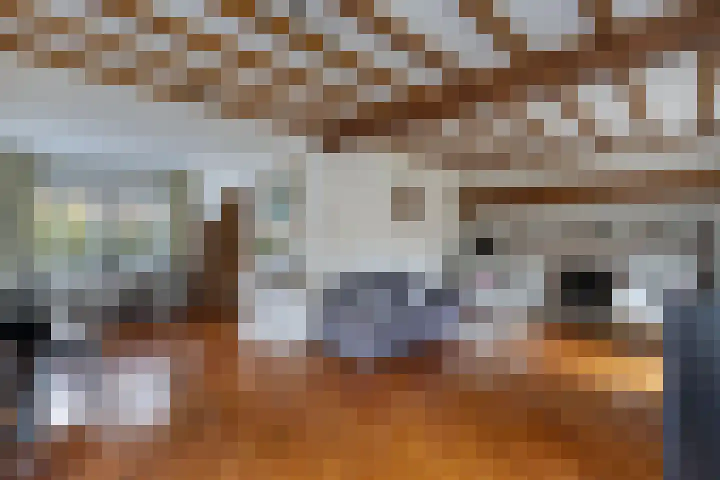 Van Hoorns Houtweg 2 Huizen thumbnail 11
