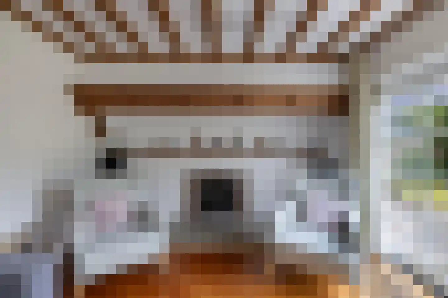 Van Hoorns Houtweg 2 Huizen thumbnail 12
