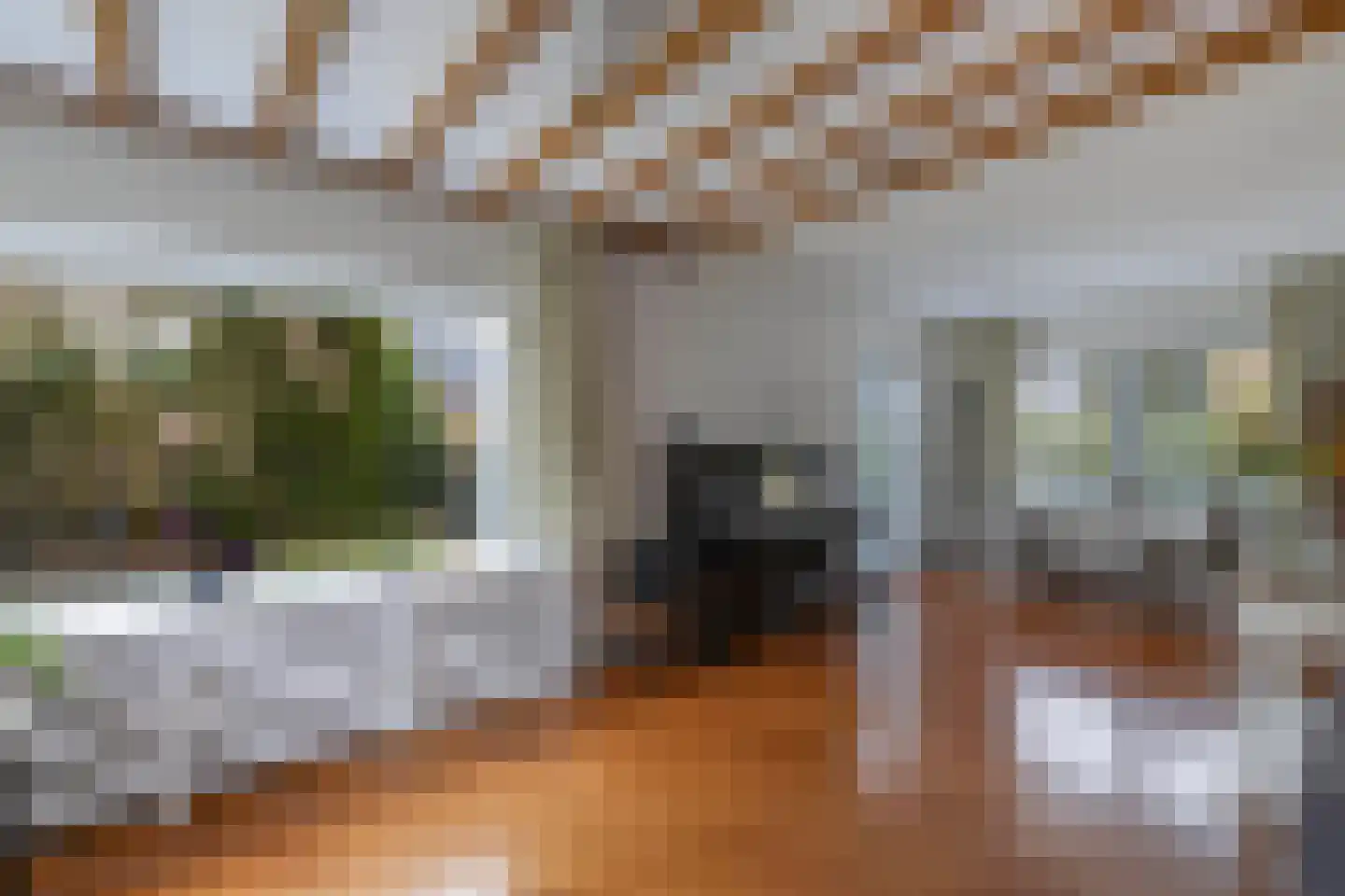 Van Hoorns Houtweg 2 Huizen thumbnail 14