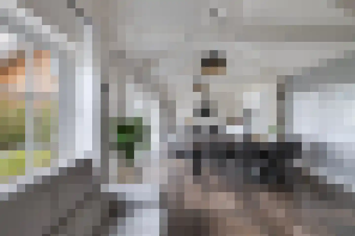 Van Hoorns Houtweg 2 Huizen thumbnail 15