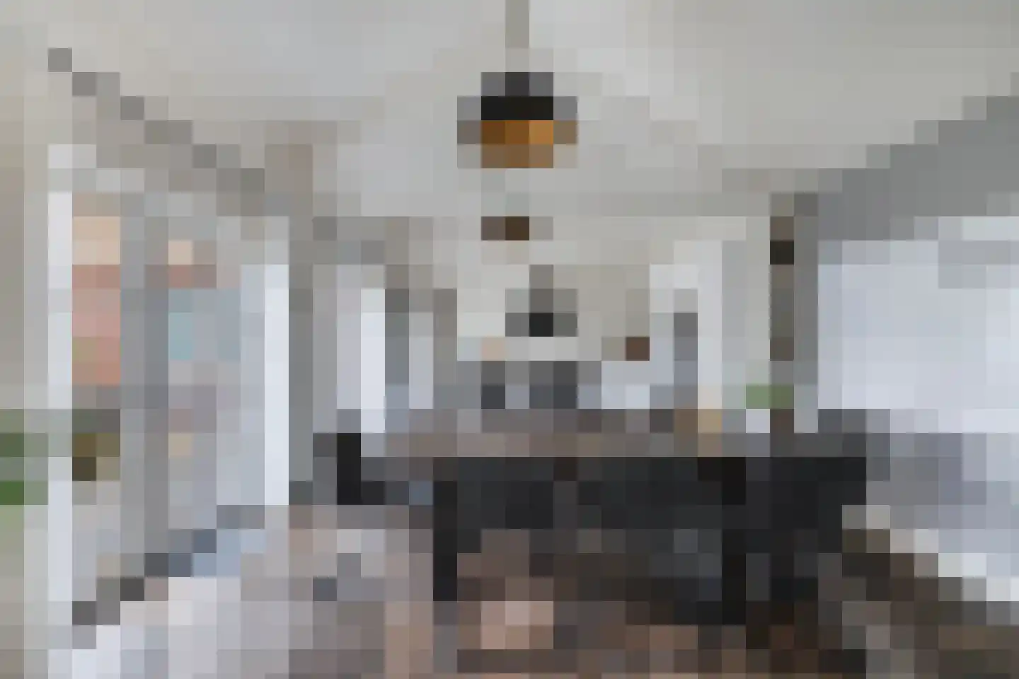 Van Hoorns Houtweg 2 Huizen thumbnail 16