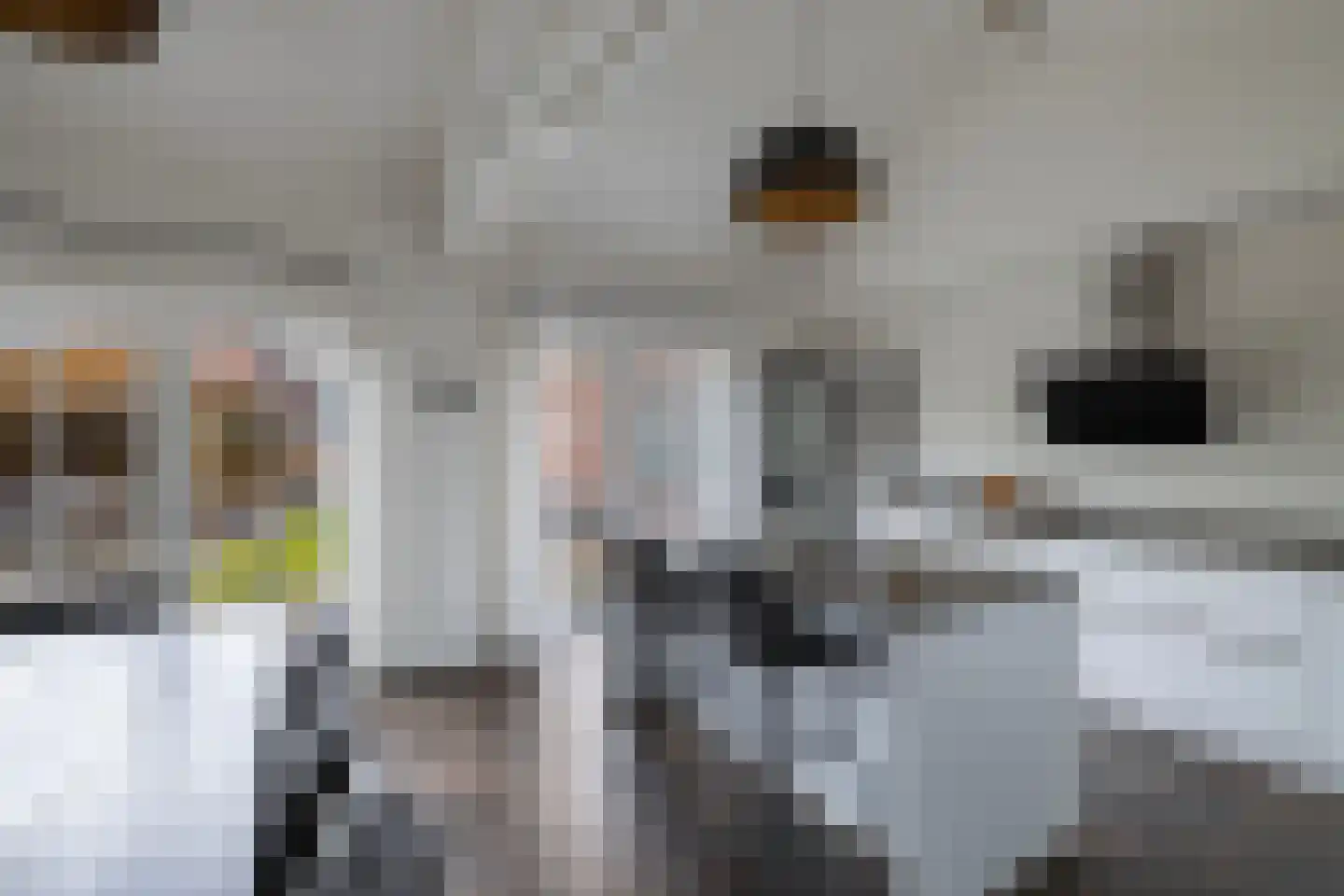 Van Hoorns Houtweg 2 Huizen thumbnail 17