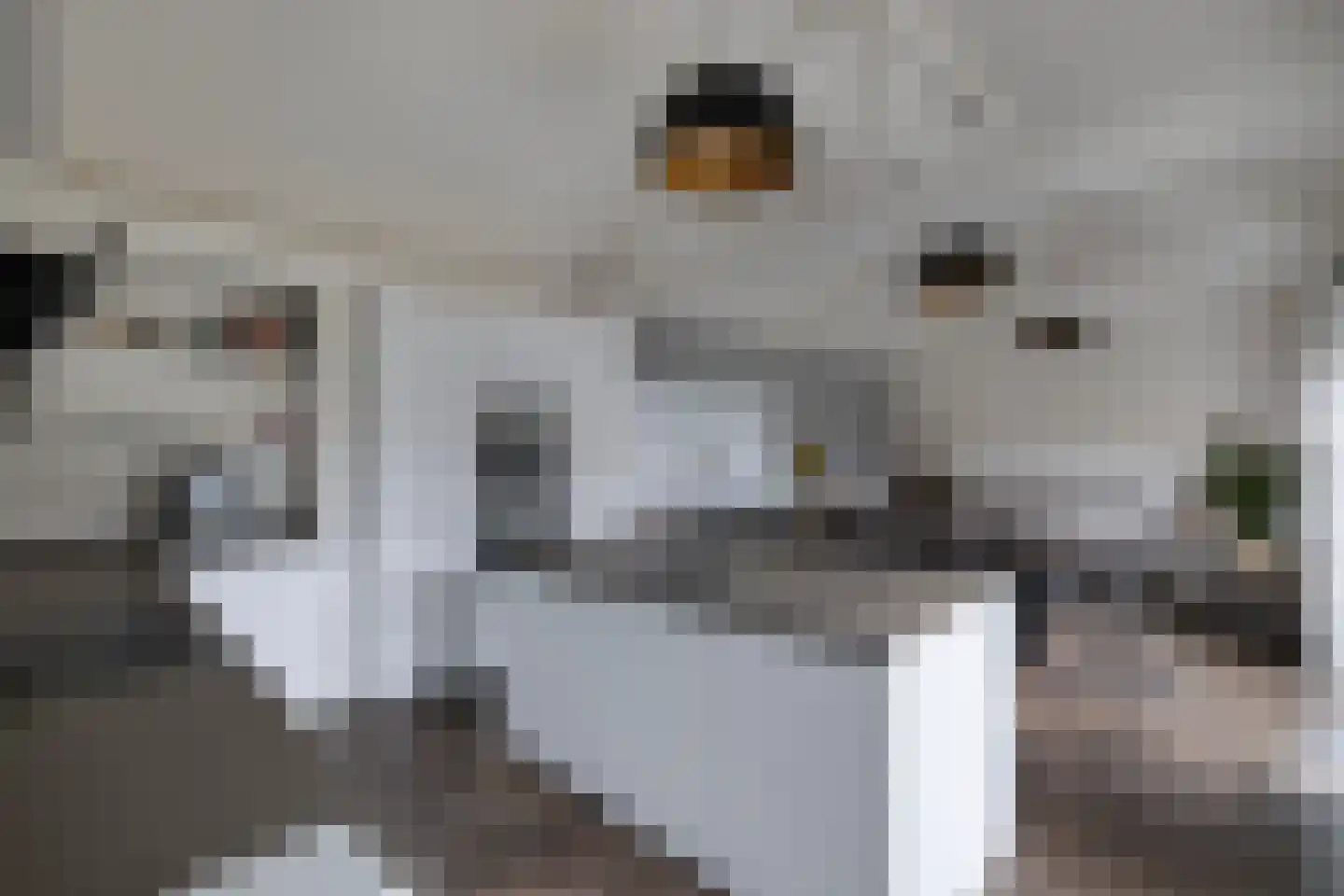 Van Hoorns Houtweg 2 Huizen thumbnail 20