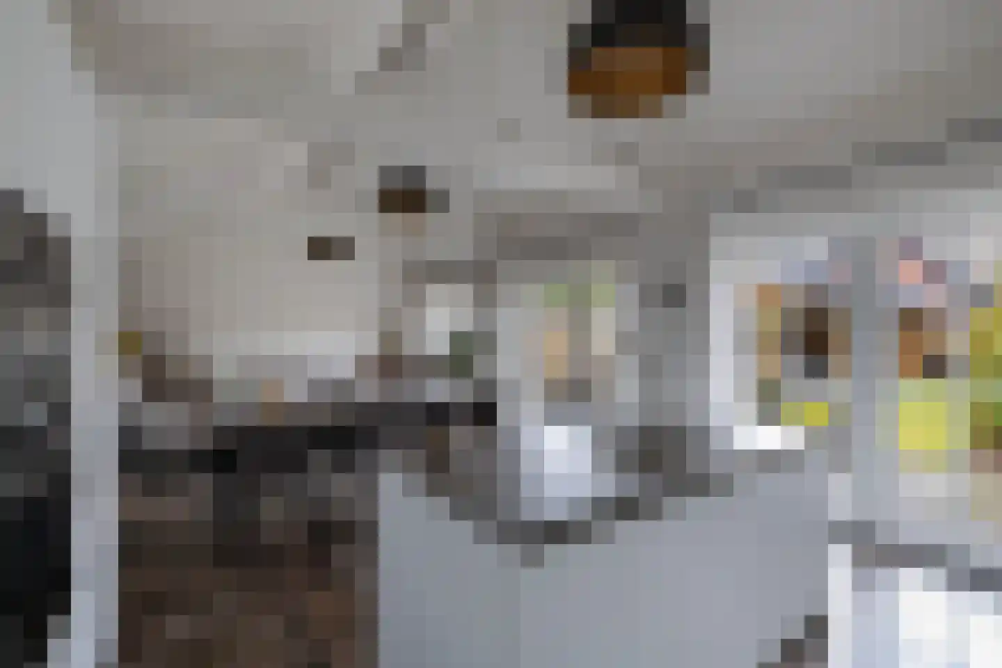 Van Hoorns Houtweg 2 Huizen thumbnail 21