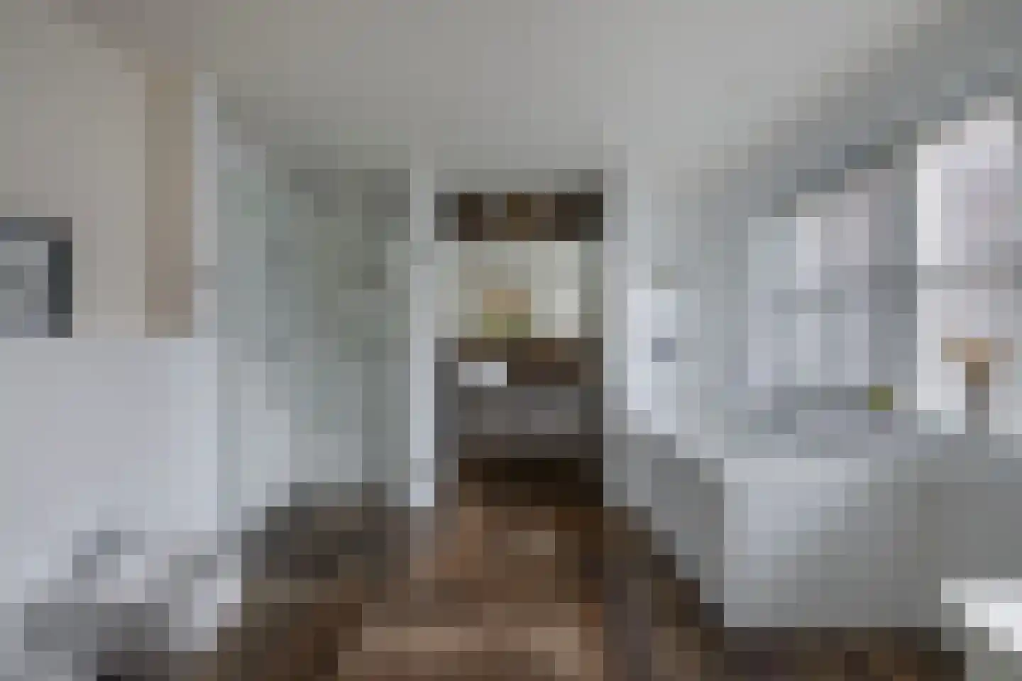 Van Hoorns Houtweg 2 Huizen thumbnail 25