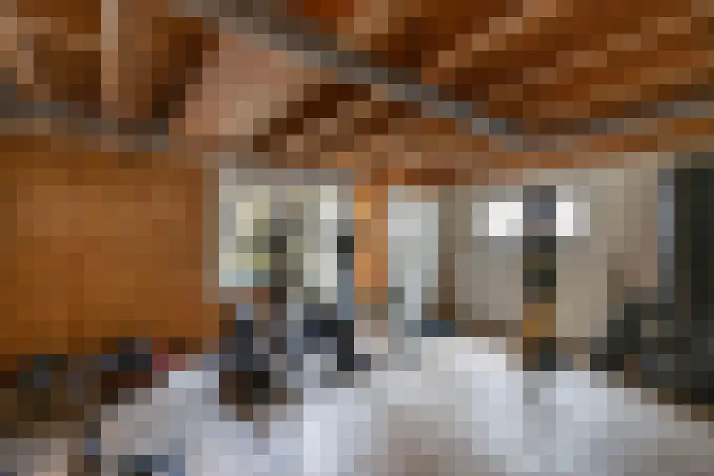 Van Hoorns Houtweg 2 Huizen thumbnail 30