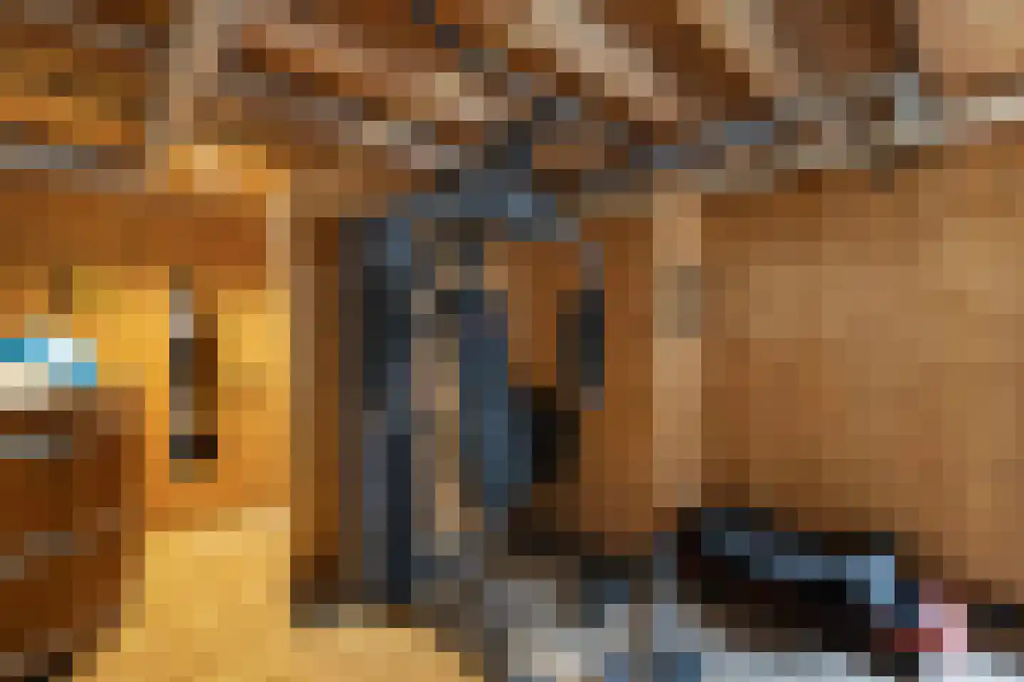 Van Hoorns Houtweg 2 Huizen thumbnail 31