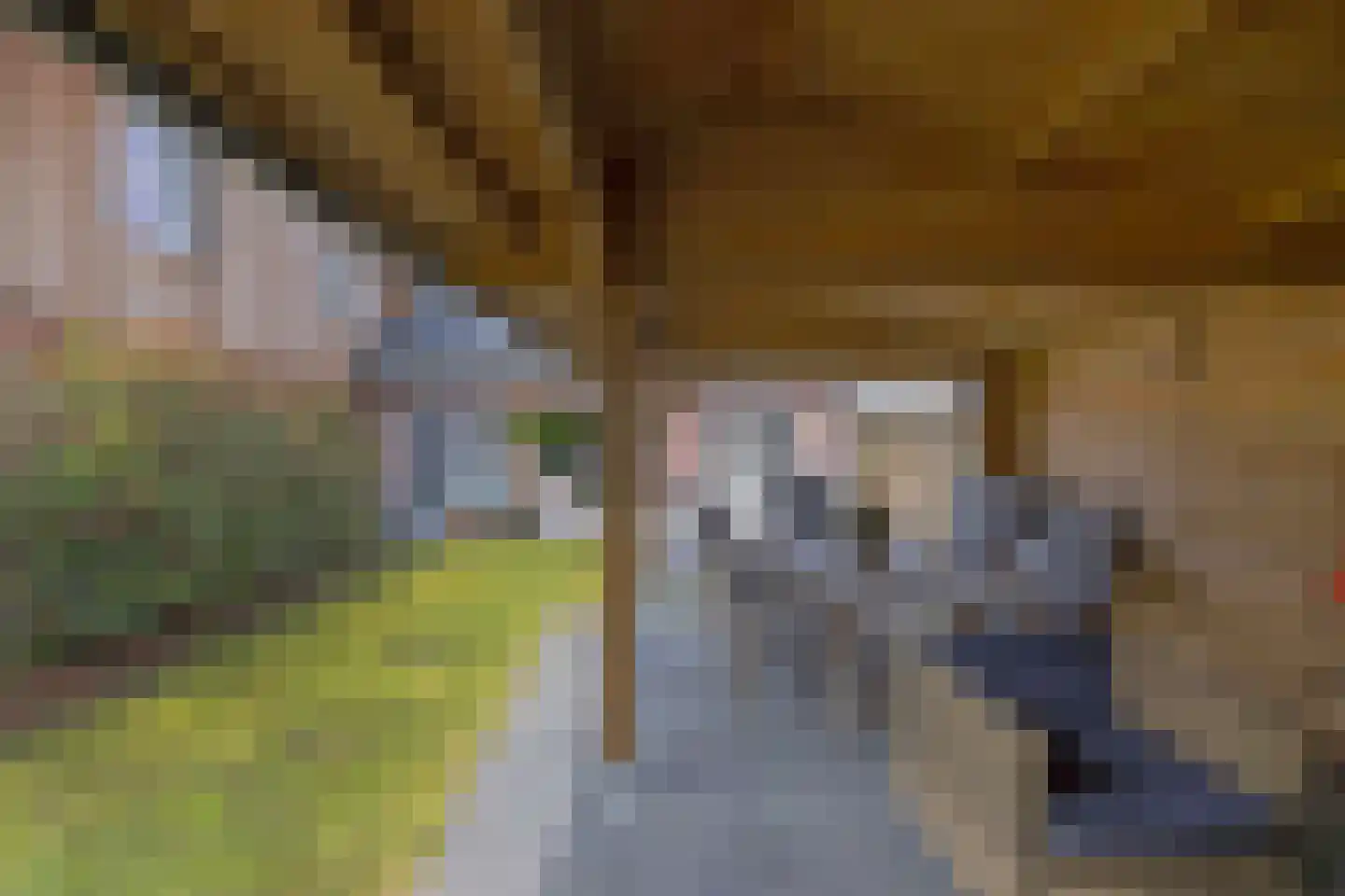 Van Hoorns Houtweg 2 Huizen thumbnail 49