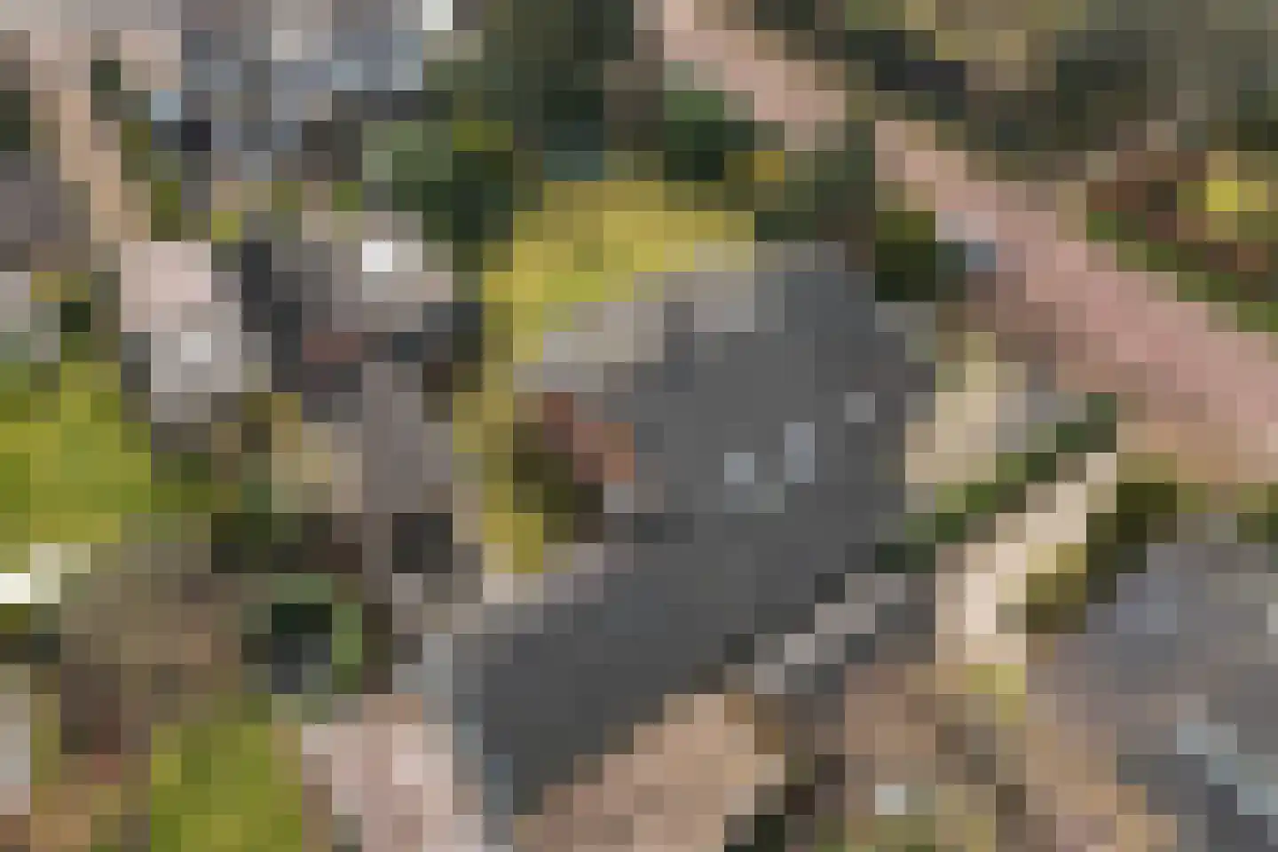 Van Hoorns Houtweg 2 Huizen thumbnail 54