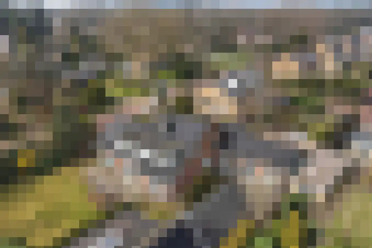 Van Hoorns Houtweg 2 Huizen thumbnail 55