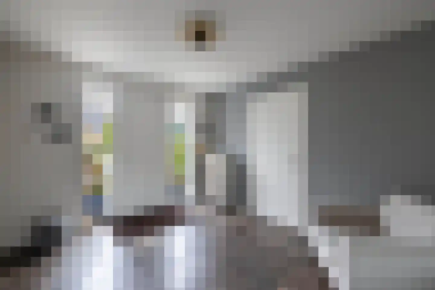Van Hoorns Houtweg 2 Huizen thumbnail 6